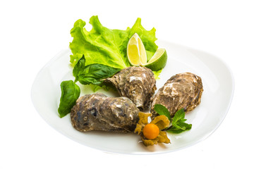 Fresh oyster