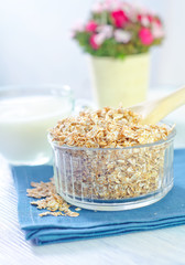 oat flakes