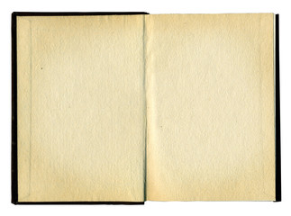 Blank pages in an old book