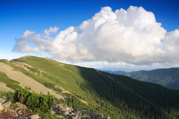 Summer Carpathian Mountains