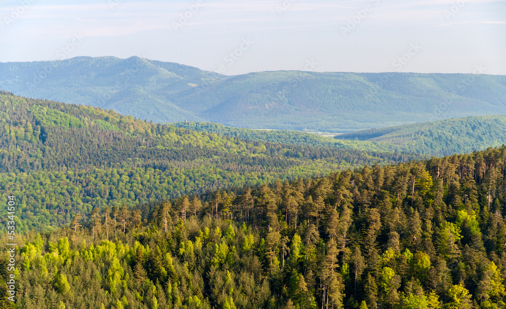 Wall mural View of Vosges mountains in Alsace - France