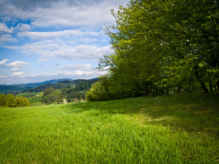 Czech rural landscape