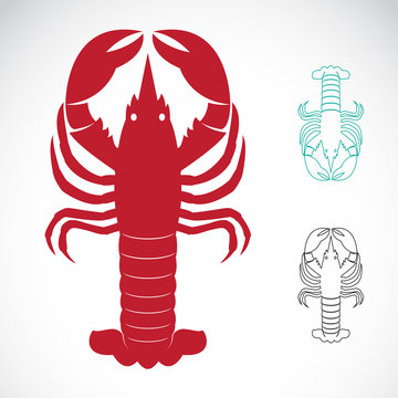 Vector image of an lobster on white background
