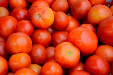 Stack of numerous tomatoes