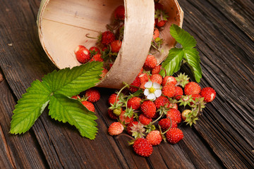 Wild strawberries © Piotr Krzeslak