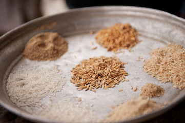 The stages of Rice
