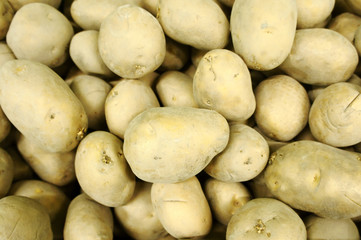 A pile of organic potatoes