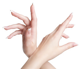 close-up of manicured hands