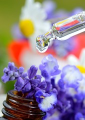 Bachblütentherapie mit Pipette und Lavendel