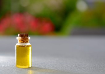 Rapsöl in Flasche mit Korken