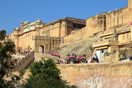 Amber Fort Jaipur