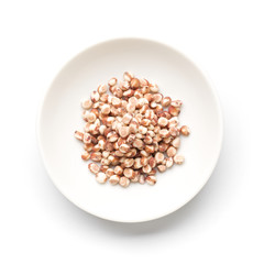 sorghum