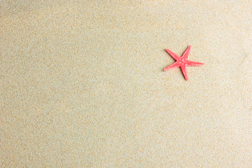 Fototapeta na wymiar Starfish on the sand