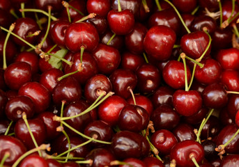 Fresh cherry background
