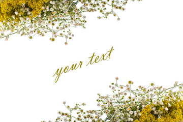 Summer bouquet of wild flowers