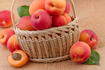 ripe apricots in basket on wooden background