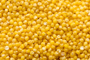 background of millet. macro
