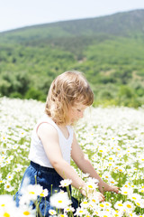 Blond baby girl  in field of camomiles