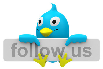 follow us