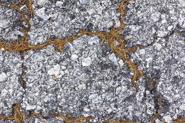 texture