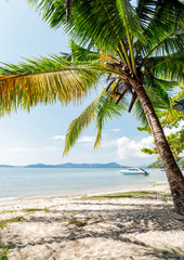Perfect thai beach with a white sand