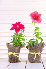 Fototapeta na wymiar Petunias in pots on wooden background