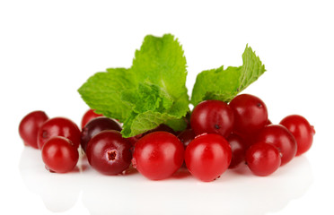 Ripe red cranberries, isolated on white.