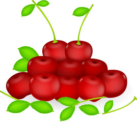 fresh cherries