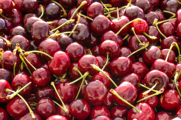 Sweet cherries on display at the market