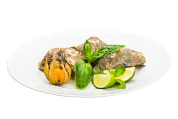 Fresh oyster