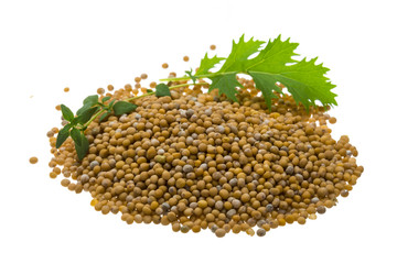 Mustard seeds