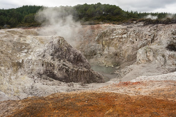 steam raising from collapsed crater in Waiotapu