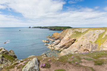 Welsh coastal view to Skomer Pembrokeshire