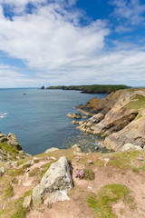 Fototapeta na wymiar Pembrokeshire coastal view towards Skomer Island Wales