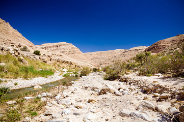 Fototapeta na wymiar Potoku w dolinie Wadi Hasa w Jordanii