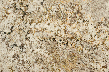 Marble-Granite-Onyx Texture