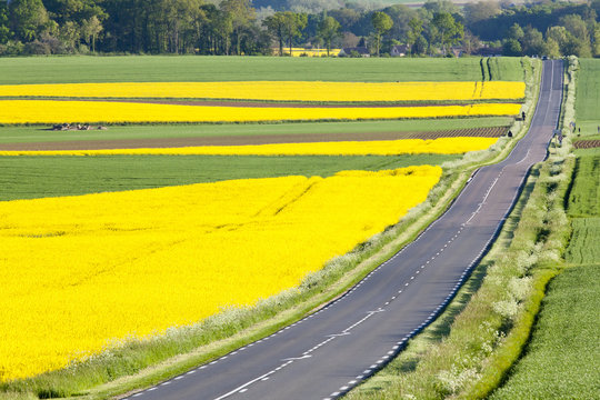 Route De La Brie