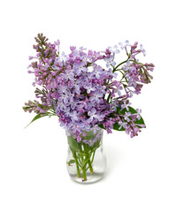 Naklejka na ściany i meble lilac in glass vase over white