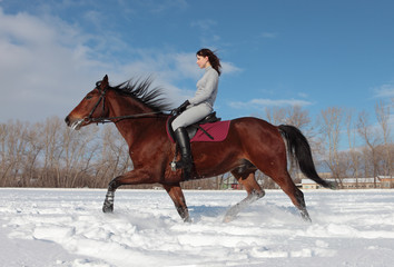 Fototapeta na wymiar Woman riding horse in winter