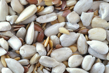 seeds