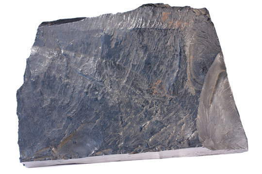 Cannel coal