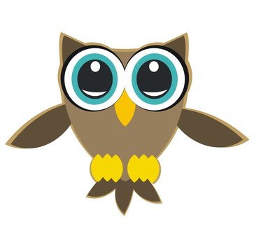 cute owl - big eye