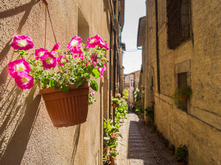 Vaso fiorito in borgo romanico, Spello