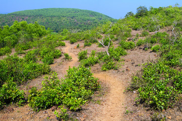 Fototapeta na wymiar Path through the green rocky hills