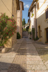 Fototapeta premium Vicolo di Spello