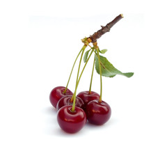 Sour cherries isolated on white