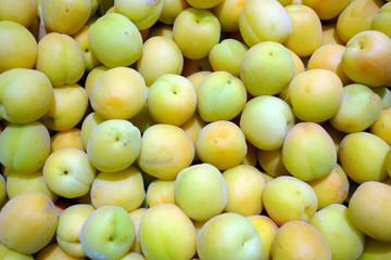 Background from fresh apricots