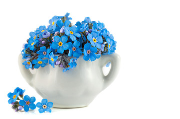 Bunch of vivid blue forget-me-not flowers in the porcelain pot