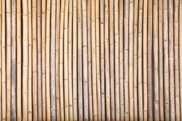 Bamboo fence