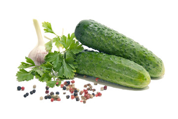 fresh vegetables on white background